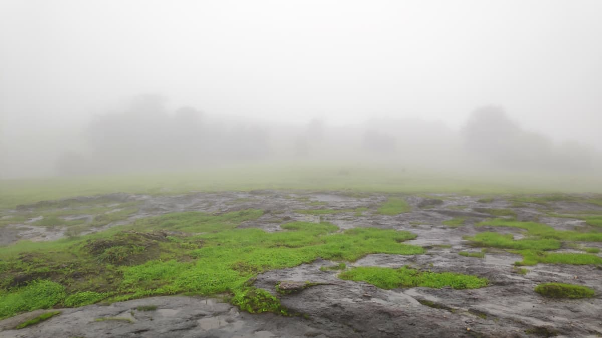 Rocky grassland covered in thick monsoon fog.