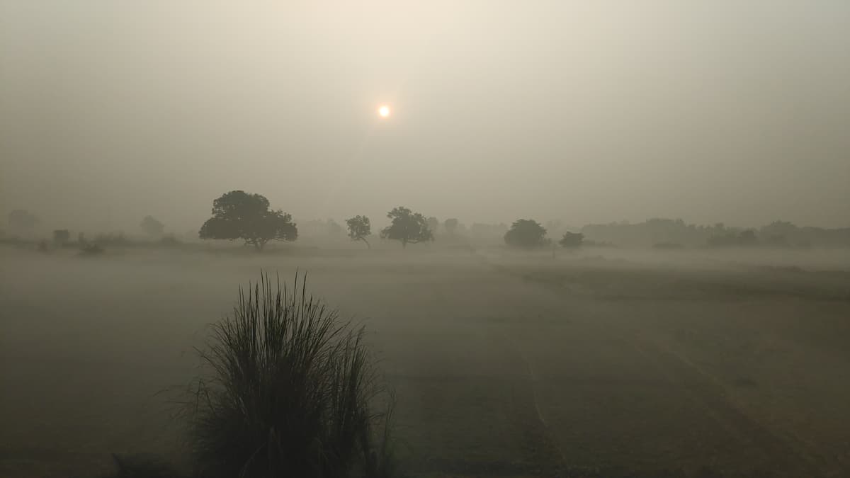 Early morning haze over open fields and distant trees.